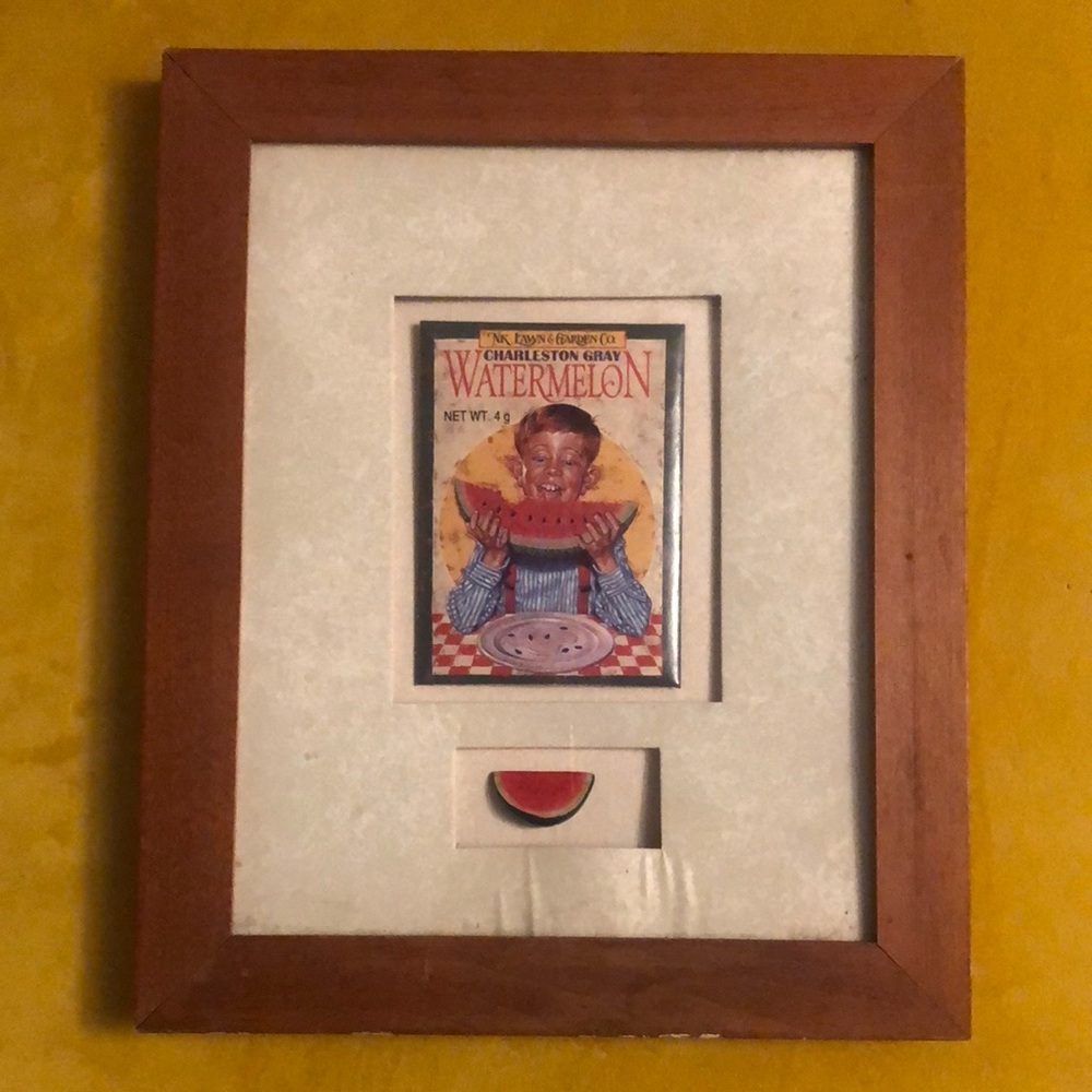 1960’s vintage collectors framed watermelon seed packet wall art.